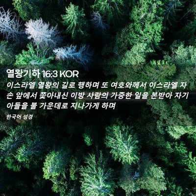 Picture 02 - 열왕기하 16:3 KOR - 이스라엘 열왕의 길로 행하며 또 - Bible Verse Picture