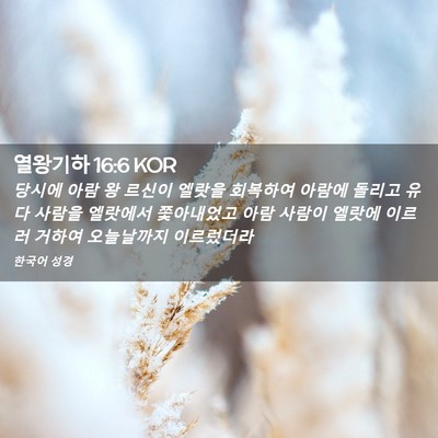 Picture 02 - 열왕기하 16:6 KOR - 당시에 아람 왕 르신이 엘랏을 - Bible Verse Picture