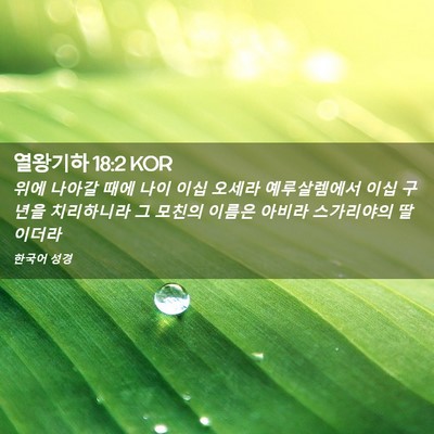 Picture 02 - 열왕기하 18:2 KOR - 위에 나아갈 때에 나이 이십 오세라 - Bible Verse Picture