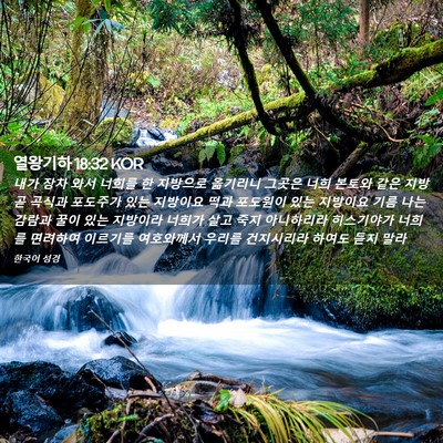 Picture 02 - 열왕기하 18:32 KOR - 내가 장차 와서 너희를 한 지방으로 - Bible Verse Picture
