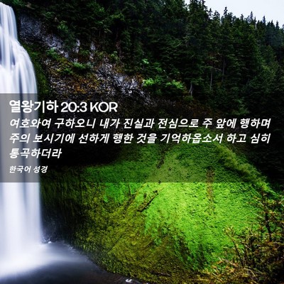 Picture 02 - 열왕기하 20:3 KOR - 여호와여 구하오니 내가 진실과 - Bible Verse Picture