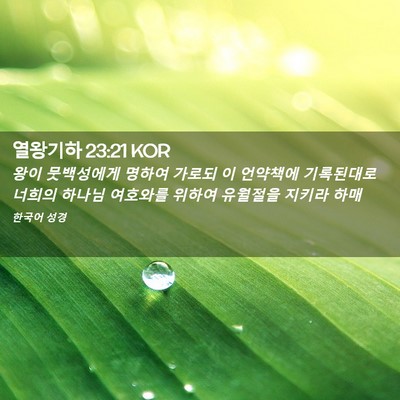 Picture 02 - 열왕기하 23:21 KOR - 왕이 뭇백성에게 명하여 가로되 이 - Bible Verse Picture