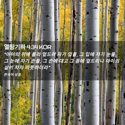 Picture 02 - 열왕기하 4:34 KOR - 