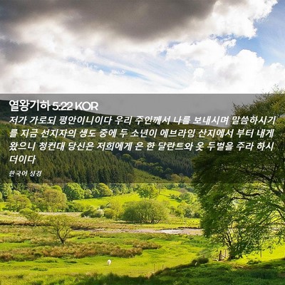 Picture 02 - 열왕기하 5:22 KOR - 저가 가로되 평안이니이다 우리 - Bible Verse Picture