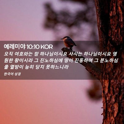 Picture 02 - 예레미야 10:10 KOR - 오직 여호와는 참 하나님이시요 - Bible Verse Picture