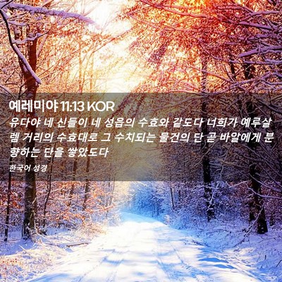 Picture 02 - 예레미야 11:13 KOR - 유다야 네 신들이 네 성읍의 수효와 - Bible Verse Picture