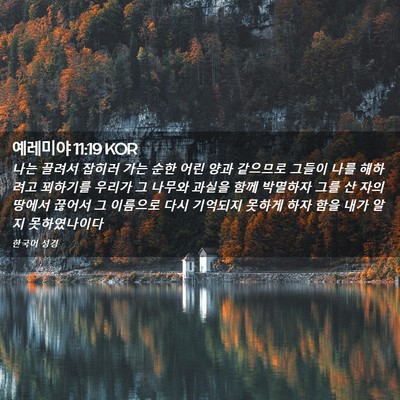 Picture 02 - 예레미야 11:19 KOR - 나는 끌려서 잡히러 가는 순한 어린 - Bible Verse Picture
