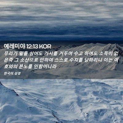 Picture 02 - 예레미야 12:13 KOR - 무리가 밀을 심어도 가시를 거두며 - Bible Verse Picture