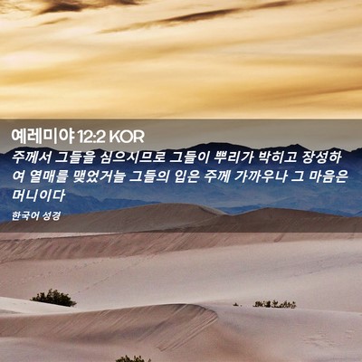 Picture 02 - 예레미야 12:2 KOR - 주께서 그들을 심으시므로 그들이 - Bible Verse Picture