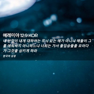 Picture 02 - 예레미야 12:9 KOR - 내 산업이 내게 대하여는 무늬 있는 - Bible Verse Picture