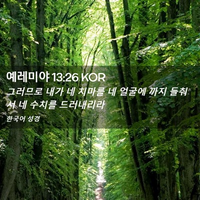 Picture 02 - 예레미야 13:26 KOR - 그러므로 내가 네 치마를 네 얼굴에 - Bible Verse Picture