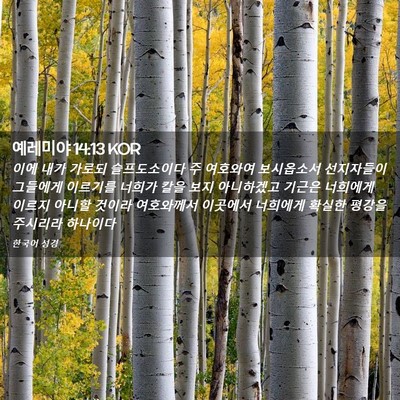 Picture 02 - 예레미야 14:13 KOR - 이에 내가 가로되 슬프도소이다 주 - Bible Verse Picture