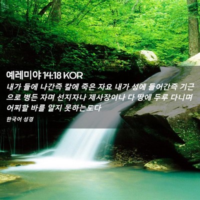 Picture 02 - 예레미야 14:18 KOR - 내가 들에 나간즉 칼에 죽은 자요 - Bible Verse Picture