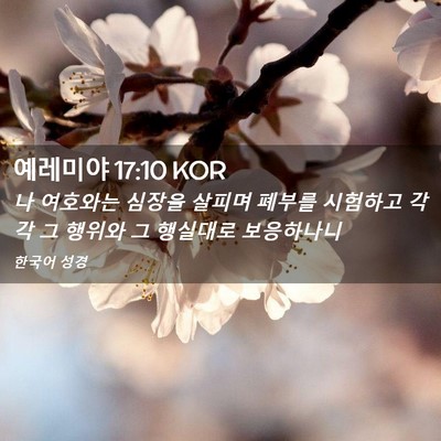 Picture 02 - 예레미야 17:10 KOR - 나 여호와는 심장을 살피며 폐부를 - Bible Verse Picture