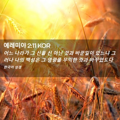Picture 02 - 예레미야 2:11 KOR - 어느 나라가 그 신을 신 아닌 것과 - Bible Verse Picture