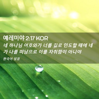 Picture 02 - 예레미야 2:17 KOR - 네 하나님 여호와가 너를 길로 - Bible Verse Picture