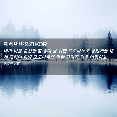 Picture 02 - 예레미야 2:21 KOR - 내가 너를 순전한 참 종자 곧 귀한 - Bible Verse Picture