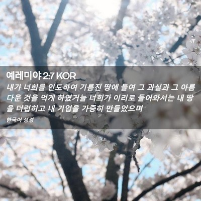 Picture 02 - 예레미야 2:7 KOR - 내가 너희를 인도하여 기름진 땅에 - Bible Verse Picture