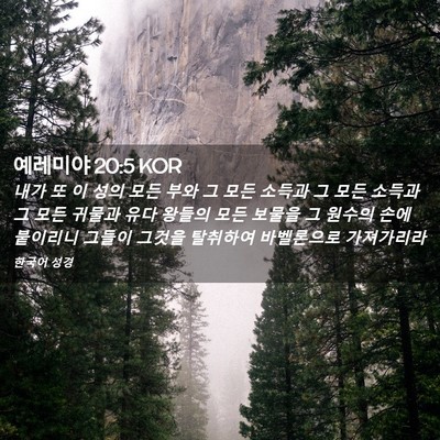 Picture 02 - 예레미야 20:5 KOR - 내가 또 이 성의 모든 부와 그 모든 - Bible Verse Picture