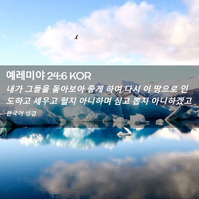 Picture 02 - 예레미야 24:6 KOR - 내가 그들을 돌아보아 좋게 하여 - Bible Verse Picture