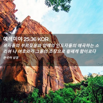 Picture 02 - 예레미야 25:36 KOR - 목자들의 부르짖음과 양떼의 - Bible Verse Picture