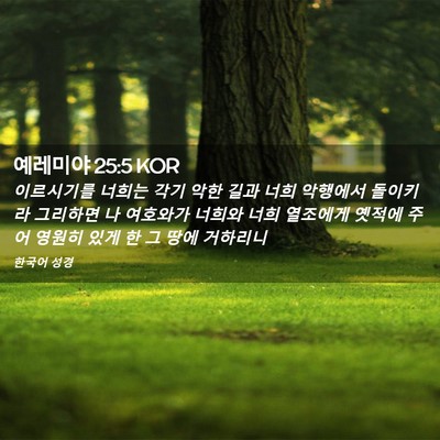 Picture 02 - 예레미야 25:5 KOR - 이르시기를 너희는 각기 악한 길과 - Bible Verse Picture