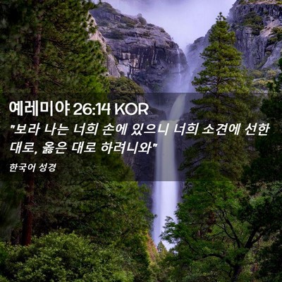 Picture 02 - 예레미야 26:14 KOR - 