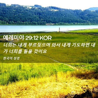 Picture 02 - 예레미야 29:12 KOR - 너희는 내게 부르짖으며 와서 내게 - Bible Verse Picture