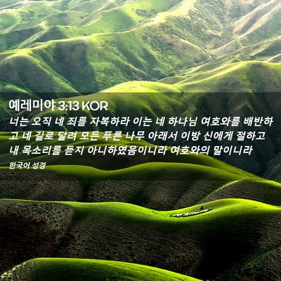 Picture 02 - 예레미야 3:13 KOR - 너는 오직 네 죄를 자복하라 이는 네 - Bible Verse Picture