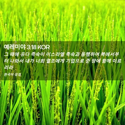 Picture 02 - 예레미야 3:18 KOR - 그 때에 유다 족속이 이스라엘 - Bible Verse Picture