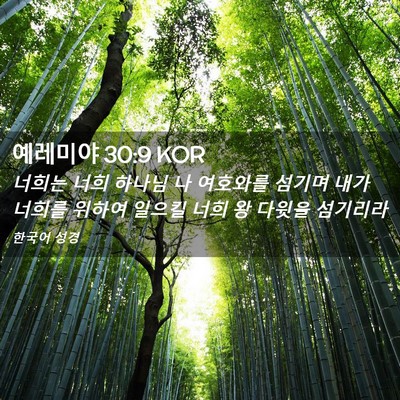 Picture 02 - 예레미야 30:9 KOR - 너희는 너희 하나님 나 여호와를 - Bible Verse Picture