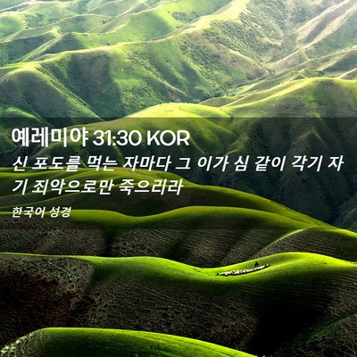Picture 02 - 예레미야 31:30 KOR - 신 포도를 먹는 자마다 그 이가 심 - Bible Verse Picture