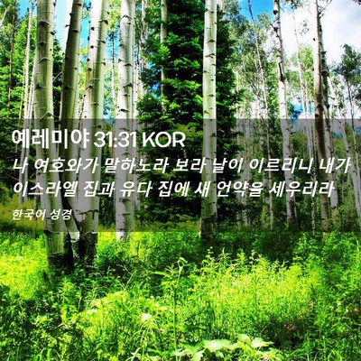 Picture 02 - 예레미야 31:31 KOR - 나 여호와가 말하노라 보라 날이 - Bible Verse Picture