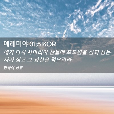 Picture 02 - 예레미야 31:5 KOR - 네가 다시 사마리아 산들에 포도원을 - Bible Verse Picture
