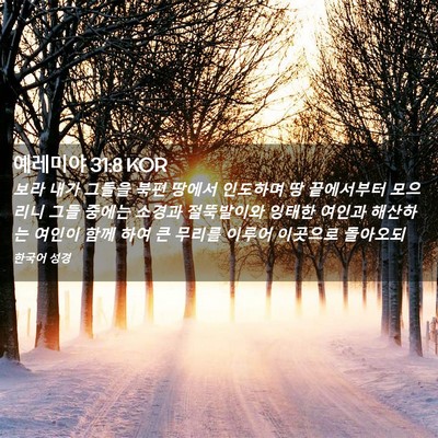 Picture 02 - 예레미야 31:8 KOR - 보라 내가 그들을 북편 땅에서 - Bible Verse Picture