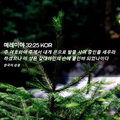 Picture 02 - 예레미야 32:25 KOR - 주 여호와여 주께서 내게 은으로 - Bible Verse Picture