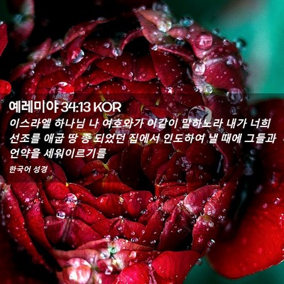 Picture 02 - 예레미야 34:13 KOR - 이스라엘 하나님 나 여호와가 이같이 - Bible Verse Picture