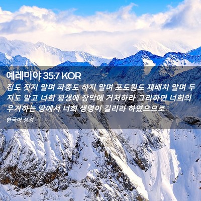 Picture 02 - 예레미야 35:7 KOR - 집도 짓지 말며 파종도 하지 말며 - Bible Verse Picture