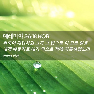 Picture 02 - 예레미야 36:18 KOR - 바룩이 대답하되 그가 그 입으로 이 - Bible Verse Picture