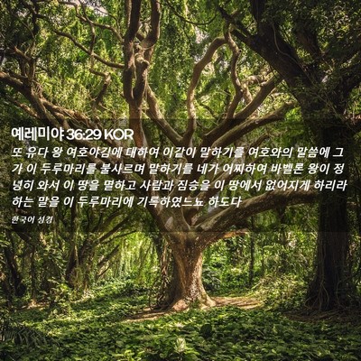 Picture 02 - 예레미야 36:29 KOR - 또 유다 왕 여호야김에 대하여 - Bible Verse Picture