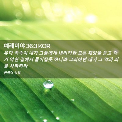 Picture 02 - 예레미야 36:3 KOR - 유다 족속이 내가 그들에게 내리려한 - Bible Verse Picture