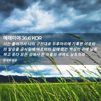 Picture 02 - 예레미야 36:6 KOR - 너는 들어가서 나의 구전대로 - Bible Verse Picture