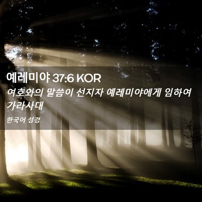Picture 02 - 예레미야 37:6 KOR - 여호와의 말씀이 선지자 - Bible Verse Picture