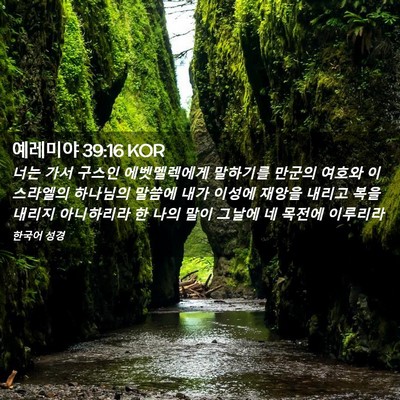 Picture 02 - 예레미야 39:16 KOR - 너는 가서 구스인 에벳멜렉에게 - Bible Verse Picture