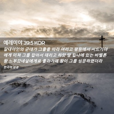 Picture 02 - 예레미야 39:5 KOR - 갈대아인의 군대가 그들을 따라 - Bible Verse Picture