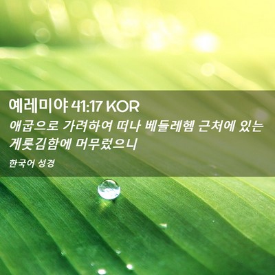 Picture 02 - 예레미야 41:17 KOR - 애굽으로 가려하여 떠나 베들레헴 - Bible Verse Picture