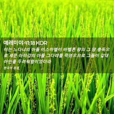 Picture 02 - 예레미야 41:18 KOR - 이는 느다냐의 아들 이스마엘이 - Bible Verse Picture