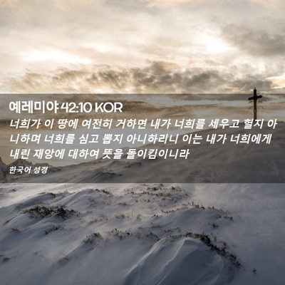 Picture 02 - 예레미야 42:10 KOR - 너희가 이 땅에 여전히 거하면 내가 - Bible Verse Picture
