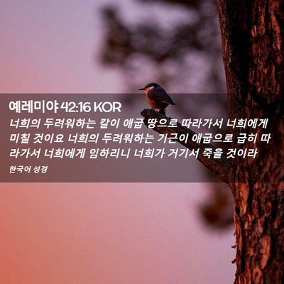 Picture 02 - 예레미야 42:16 KOR - 너희의 두려워하는 칼이 애굽 땅으로 - Bible Verse Picture