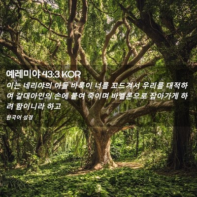Picture 02 - 예레미야 43:3 KOR - 이는 네리야의 아들 바룩이 너를 - Bible Verse Picture